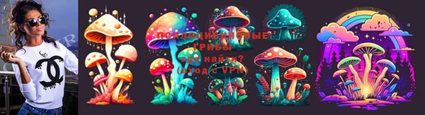 мяу мяу мука Нея