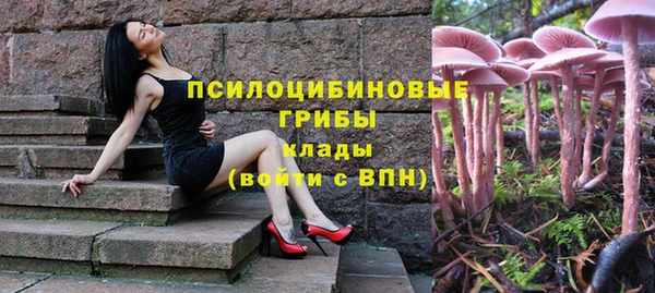 Альфа ПВП Новокубанск